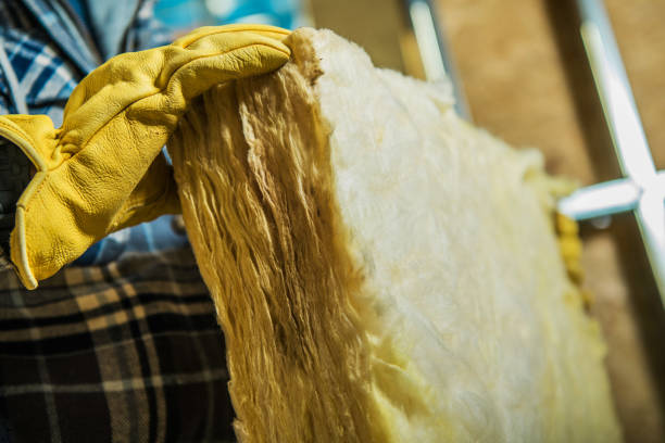 Best Specialized Insulation Services in Point Mackenzie, AK