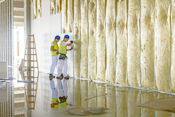 Types of Insulation We Offer in Point Mackenzie, AK